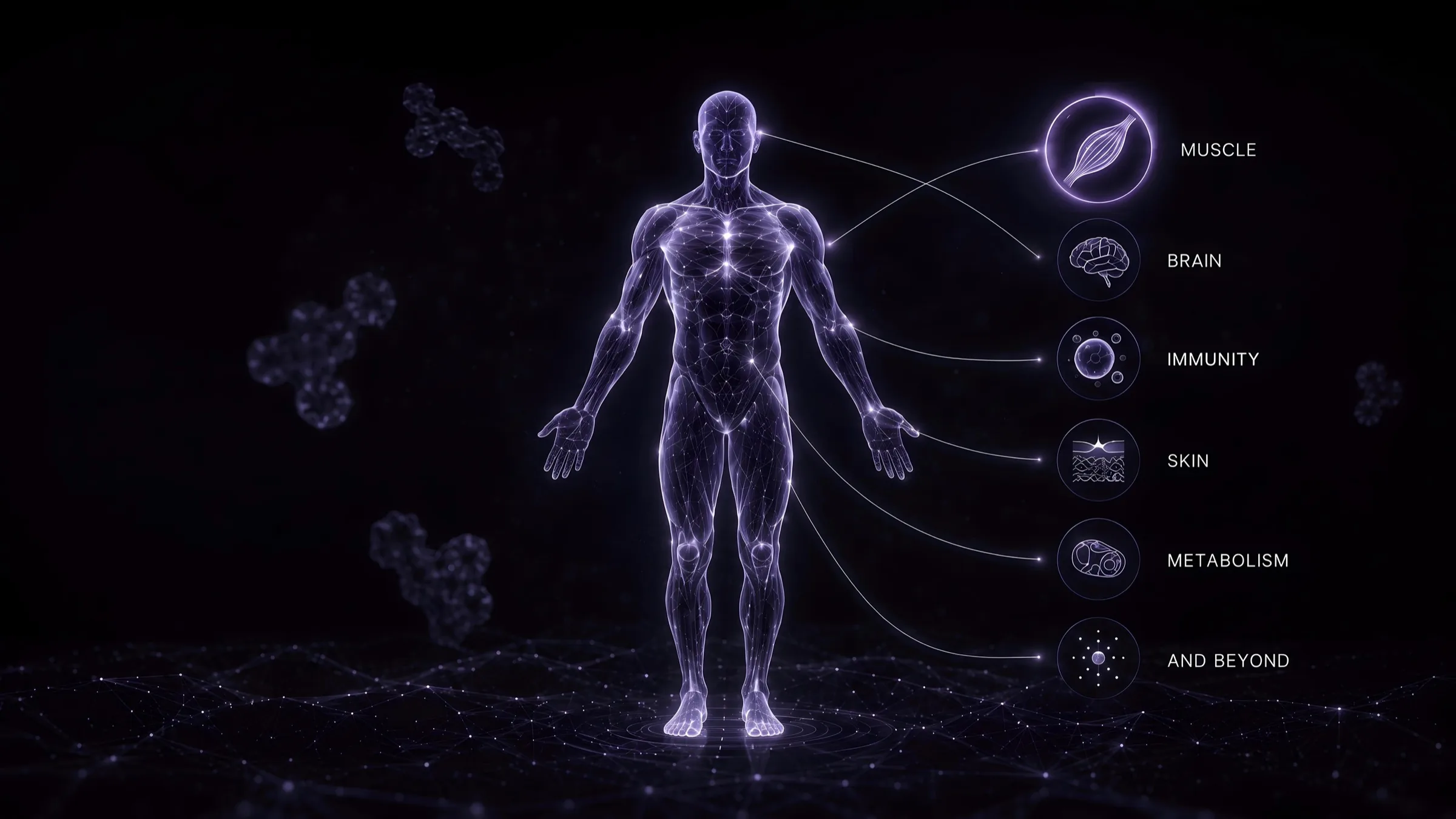 A glowing human body with the platform's therapeutic applications labelled to the right — muscle, brain, immunity, skin, metabolism, and beyond